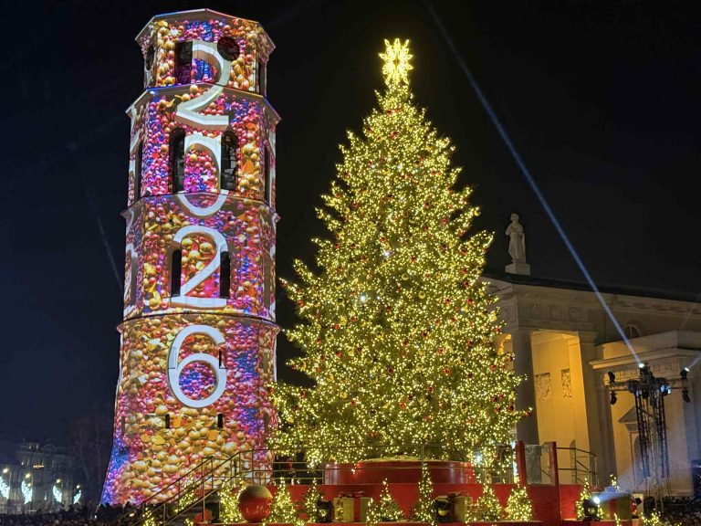 Naujametinį vakarą Vilniaus Katedros aikštę užliejo šviesų ir muzikos karnavalas