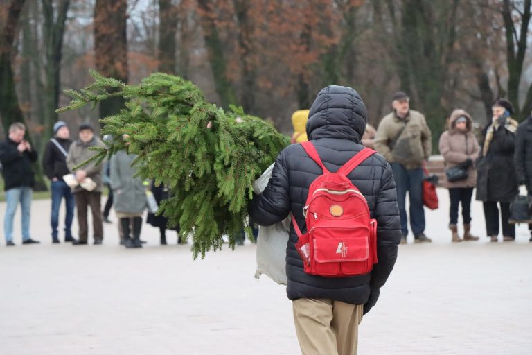 Vyks akcija „Parsinešk Kalėdas į savo namus“: vietoje tradicinės eglės – nemokama kalėdinė šaka