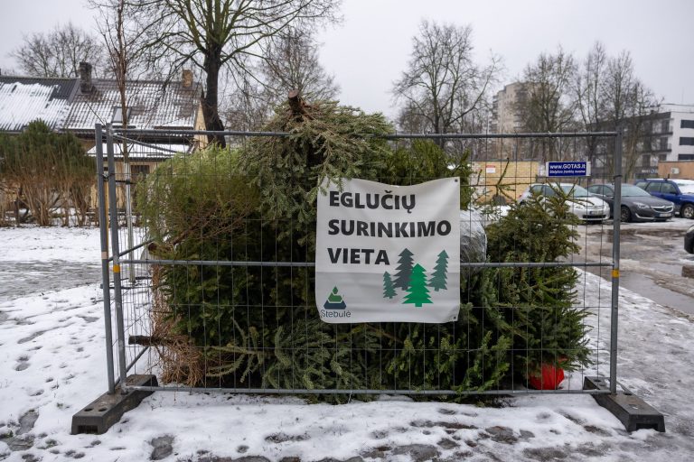 Nupuoštoms eglutėms Vilniuje – virš 130 surinkimo taškų